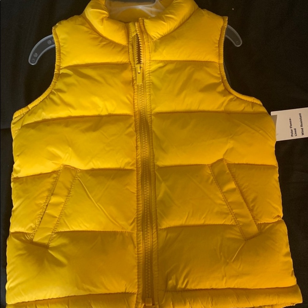 Fleece vest